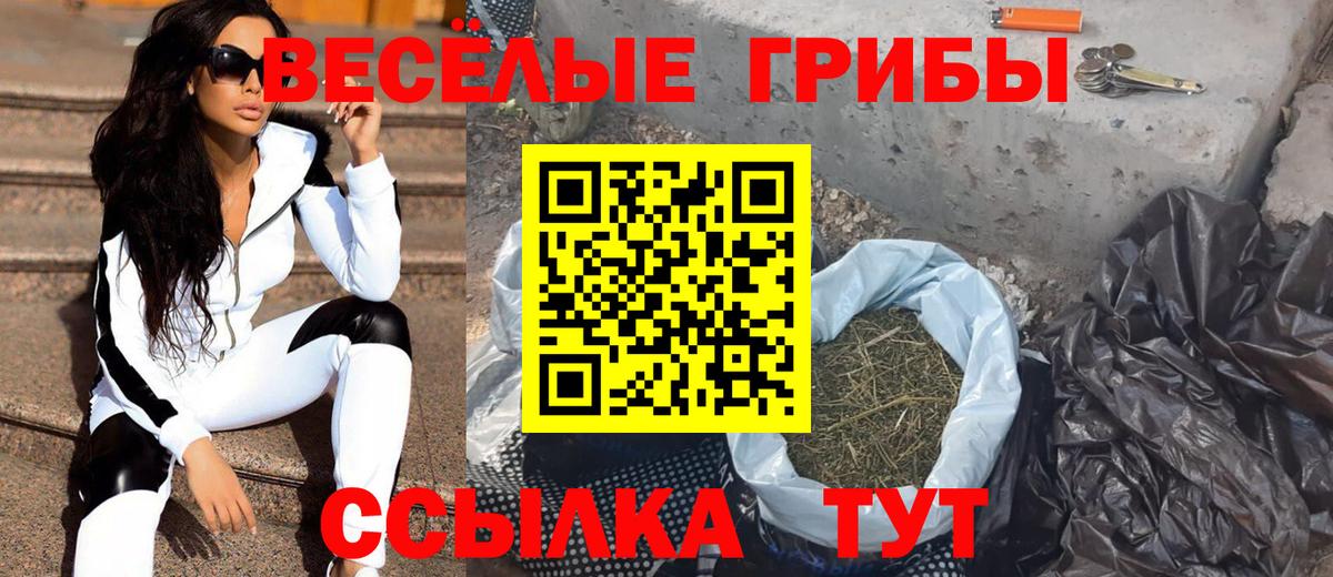 Псилоцибиновые грибы MAGIC MUSHROOMS  Вход с VPN  Псилоцибиновые грибы Magic Shrooms  купить закладку  Фурманов 